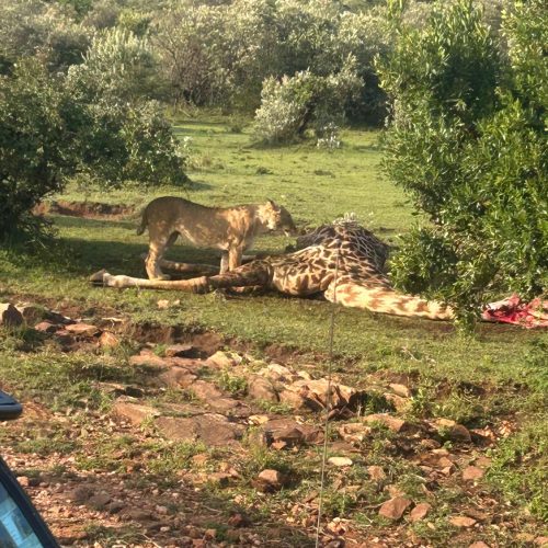 4 Day Tanzania Tour