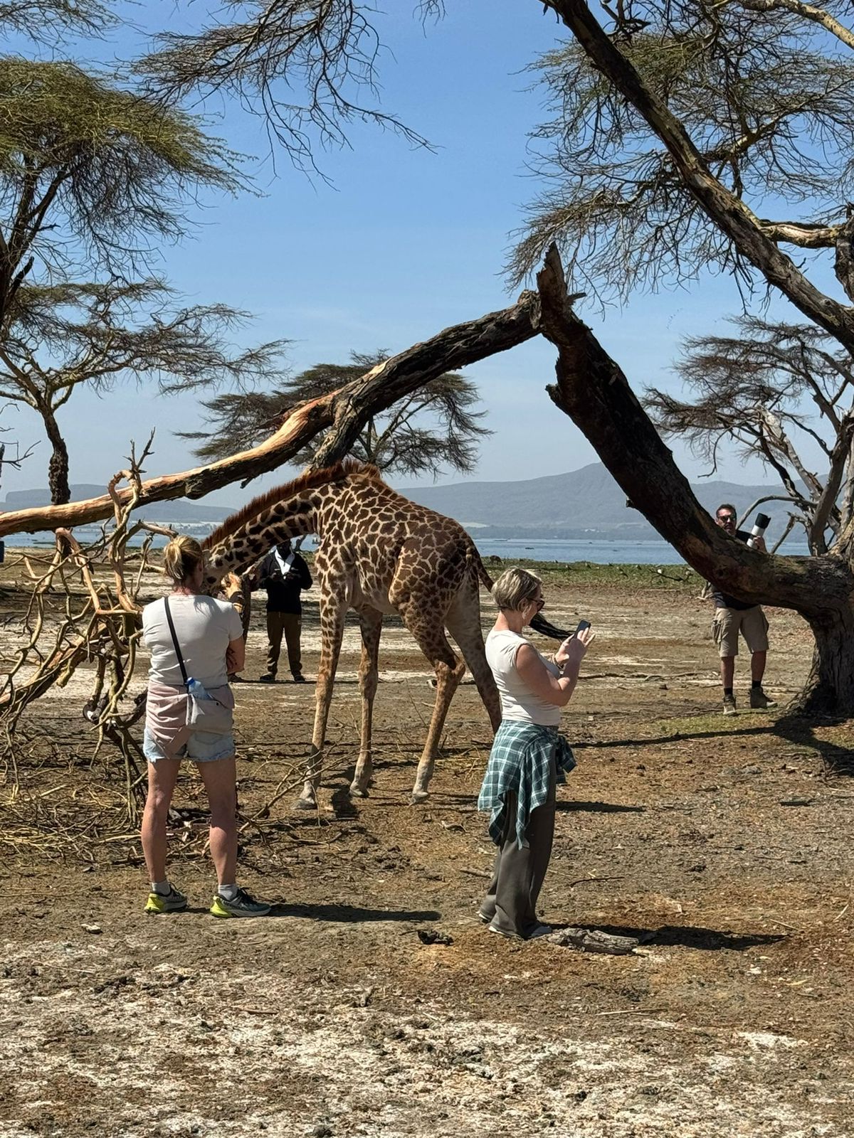 safari tour