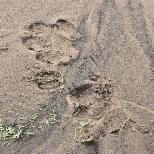 4 Days Kenya Tour