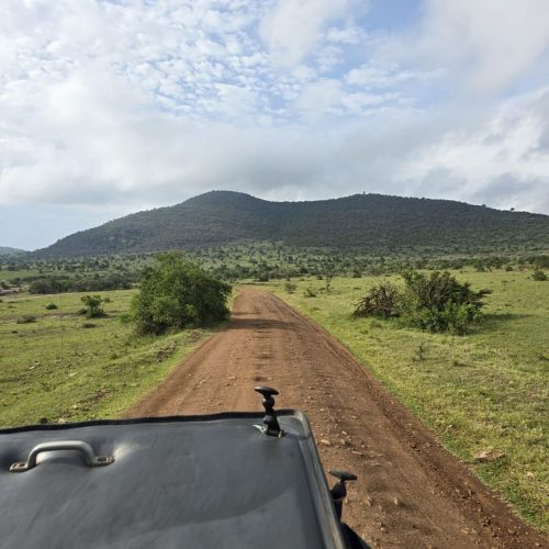 5 Days-Mount Kenya, Old Moses Camp, Nanyuki, Shipton Camp, Amboseli and Tsavo West