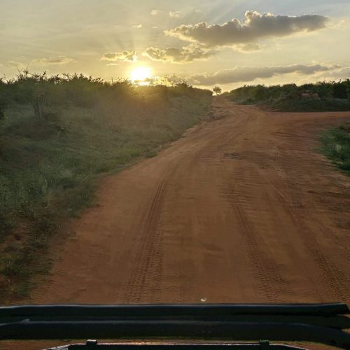 3 Days Masai Mara tour from Diani